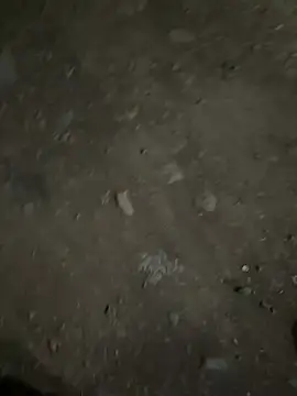 parth73637 online show from February 23, 2:47 pm