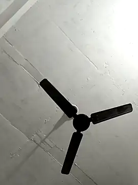 your-charu online show from April 10, 7:24 am