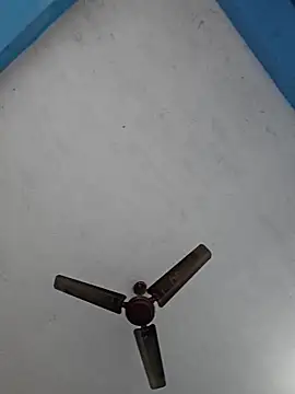 67sanju online show from February 25, 2:43 am