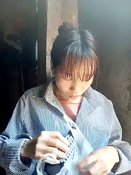 pic8800 online show from March 26, 6:30 am