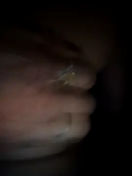 Snapshot of Rashmika_Mandana chatting on March 18, 6:55 pm Rashmika Mandana online show from March 18, 6:55 pm