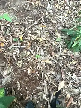 Snapshot of bibedro chatting on February 28, 9:16 pm bibedro online show from February 28, 9:16 pm