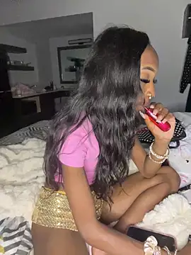 Snapshot of Loopsies chatting on April 14, 1:55 am Loopsies online show from April 14, 1:55 am