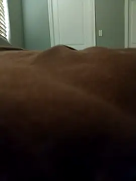 Snapshot of lilbbcxoxo chatting on February 27, 4:18 pm lilbbcxoxo online show from February 27, 4:18 pm