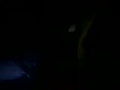 MahmudTheBator online show from April 10, 12:27 am