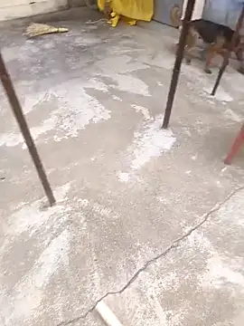 mylove202022 online show from March 15, 2:06 am