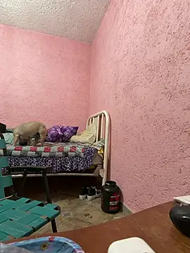 deivchoky online show from April 14, 1:00 am