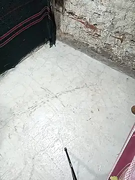 priyatelugu340 online show from April 21, 9:15 am