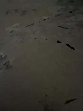 sharks90 online show from July 6, 3:58 am
