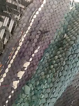 King night1 online show from April 12, 1:21 am