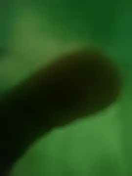 ffgffefgg online show from March 12, 12:39 am