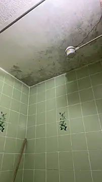 sylphiee  online show from April 8, 11:54 am