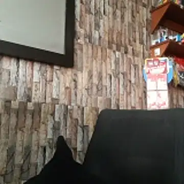 jhosuamoore online show from March 24, 7:52 pm