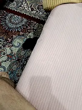 MEDVEDV online show from March 14, 4:01 pm