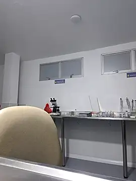 Snapshot of Aila_Phone chatting on May 29, 8:56 am Aila Phone online show from May 29, 8:56 am