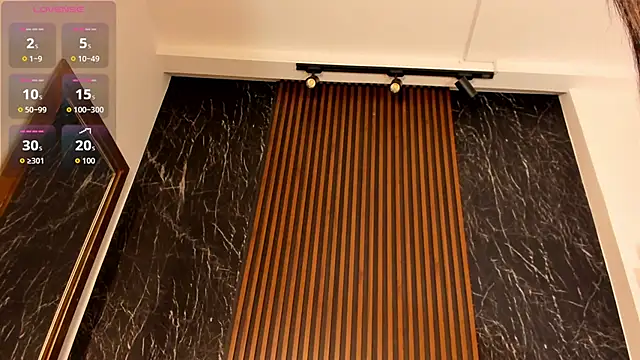 Snapshot of EvySecretX chatting on March 16, 1:48 pm EvySecretX online show from March 16, 1:48 pm