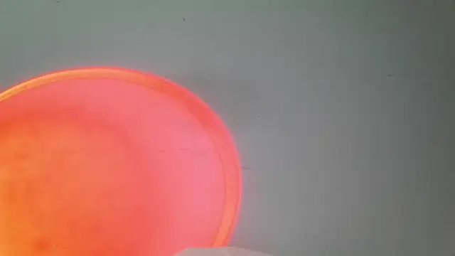 srghost333 online show from March 25, 3:56 am