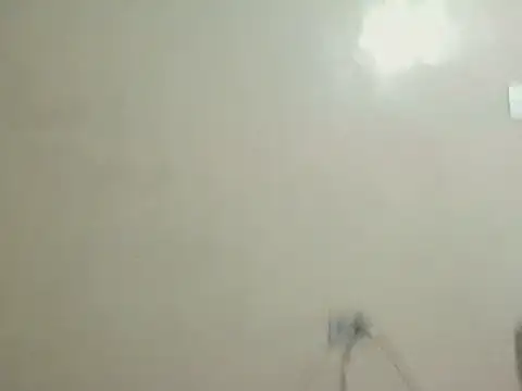 User 02  online show from July 15, 2:06 am