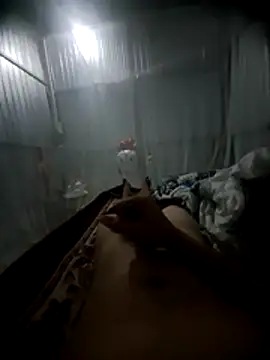 raise559 online show from April 10, 9:41 pm