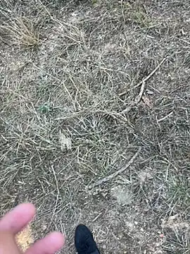 yingzi003 online show from April 7, 7:42 am