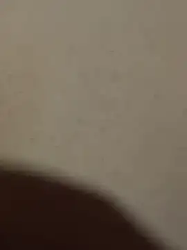 Mr beast 09 online show from June 22, 4:42 am