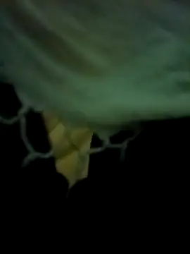 yourdreamman007  online show from March 31, 11:27 pm