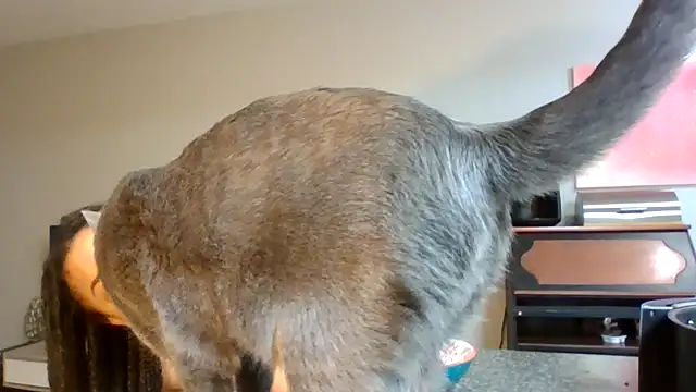 madzbailey online show from April 2, 12:25 pm