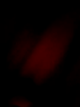 Snapshot of Eivar003 chatting on April 3, 4:54 am Eivar003 online show from April 3, 4:54 am