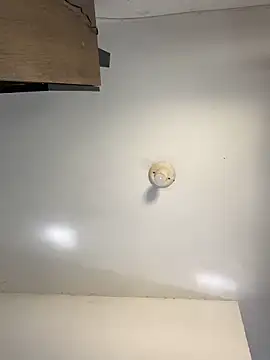 Snapshot of sanches_065 chatting on April 6, 4:52 pm sanches 065 online show from April 6, 4:52 pm