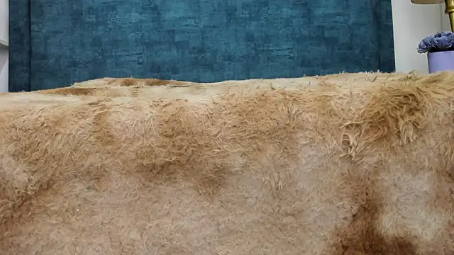 IsadoraVex online show from April 14, 12:44 pm