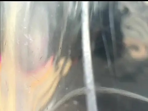 jake 1boy online show from April 16, 6:41 pm