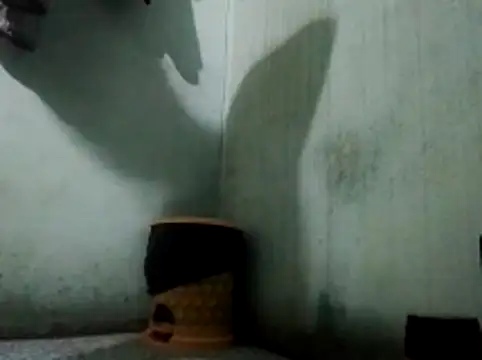 Snapshot of thichgaidambu chatting on May 27, 8:11 am thichgaidambu online show from May 27, 8:11 am
