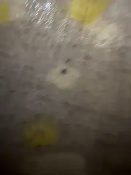 xezie online show from April 10, 9:58 am