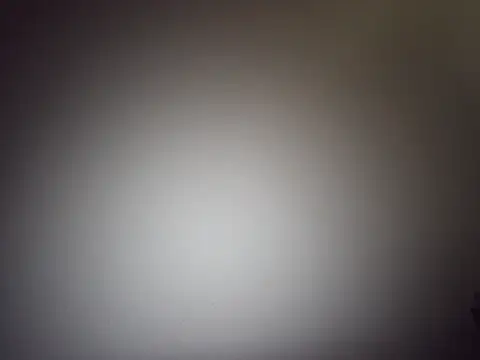 slmayn online show from April 13, 8:09 am