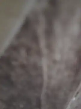 sk022 online show from April 15, 6:26 pm