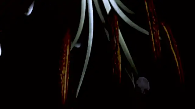 Vandaaethusa online show from April 16, 4:52 pm