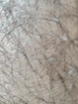 Virat75559 online show from April 21, 7:47 am