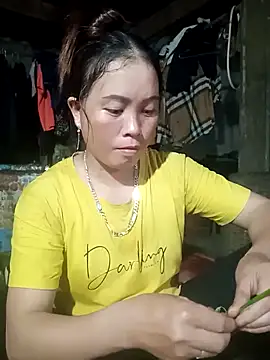 Snapshot of phuongtrinh1 chatting on May 25, 12:55 pm phuongtrinh1 online show from May 25, 12:55 pm