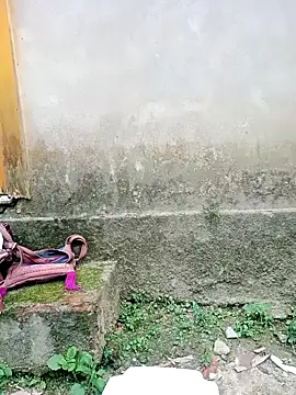 gaga5522 online show from April 25, 9:23 am