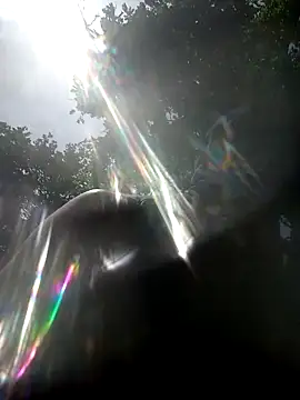 wildexhib online show from April 25, 1:25 pm