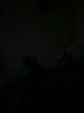 Timmy T online show from May 15, 1:12 am