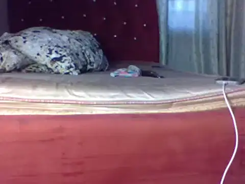 biggest black cock online show from June 25, 2:21 pm