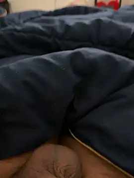 bigcock3113 online show from June 14, 12:52 am