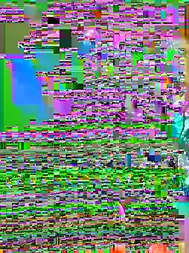 cycd3490 online show from July 9, 6:28 am
