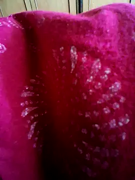Snapshot of vandana-love chatting on June 23, 6:22 am vandana-love online show from June 23, 6:22 am