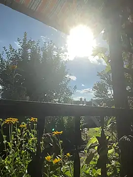 Bear-Dadd online show from July 28, 3:21 pm