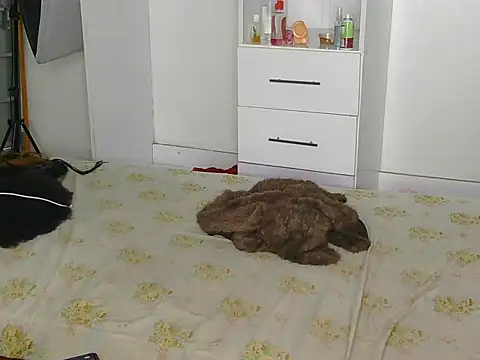SexyLi  online show from July 30, 2:21 am