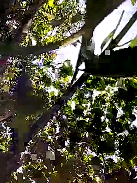 Sofia-fuck online show from July 12, 5:53 am
