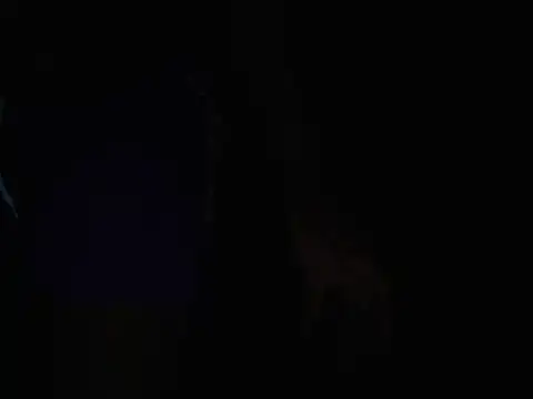 jwelbae online show from August 7, 1:13 pm