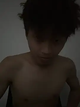 Snapshot of wsy-12345 chatting on July 6, 8:33 am wsy-12345 online show from July 6, 8:33 am